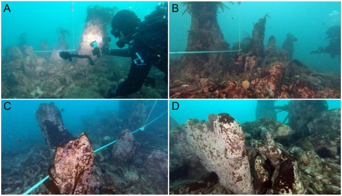 Quelques photos issues de l'étude scientifique